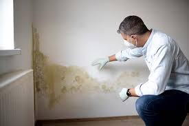 Best Residential Mold Inspection & Testing  in La Grange, TX